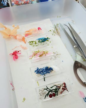 ずこうしつ〜sugamo〜に投稿された画像（2024/5/1）