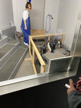 AOAO SAPPOROに投稿された画像（2024/5/1）