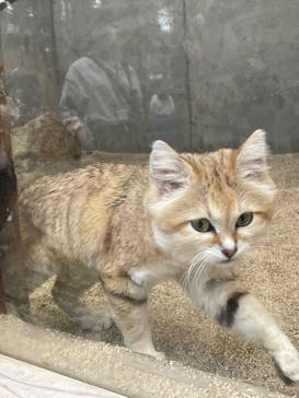 神戸どうぶつ王国に投稿された画像（2024/5/1）