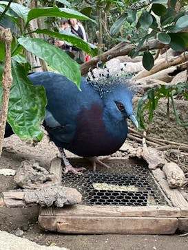 神戸どうぶつ王国に投稿された画像（2024/5/1）