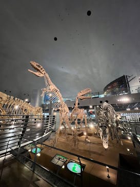 福井県立恐竜博物館に投稿された画像（2024/5/1）