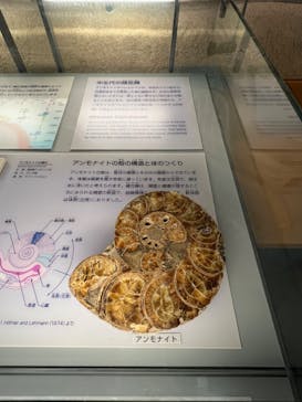 福井県立恐竜博物館に投稿された画像（2024/5/1）