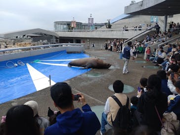 大分マリーンパレス水族館 「うみたまご」に投稿された画像（2024/5/1）