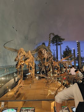 福井県立恐竜博物館に投稿された画像（2024/5/1）
