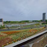 浜名湖花博2024に投稿された画像（2024/5/1）