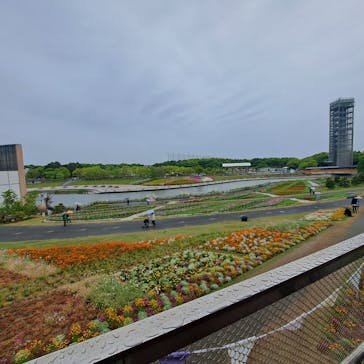 浜名湖花博2024に投稿された画像（2024/5/1）