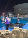 名古屋港水族館に投稿された画像（2024/5/1）