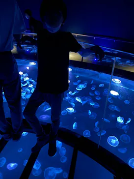 すみだ水族館に投稿された画像（2024/5/1）