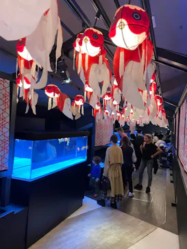 すみだ水族館に投稿された画像（2024/5/1）