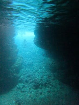 沖縄マリンサービス碧に投稿された画像（2024/5/1）