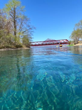 Ocean Days（オーシャンデイズ）に投稿された画像（2024/5/1）