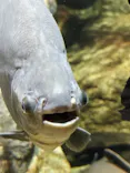 サンシャイン水族館に投稿された画像（2024/5/1）