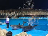 名古屋港水族館に投稿された画像（2024/5/1）