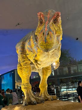 福井県立恐竜博物館に投稿された画像（2024/5/1）
