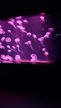 AOAO SAPPOROに投稿された画像（2024/5/1）