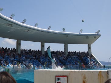 鴨川シーワールドに投稿された画像（2024/5/1）
