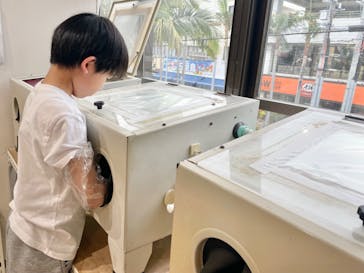 石垣島のガラス館に投稿された画像（2024/5/1）