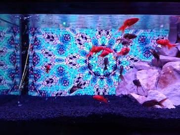 NARA IKIMONO MUSEUMに投稿された画像（2024/5/1）