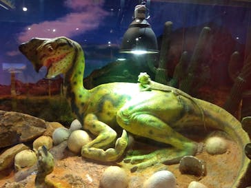 NARA IKIMONO MUSEUMに投稿された画像（2024/5/1）