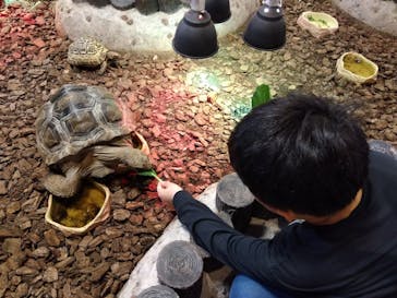 NARA IKIMONO MUSEUMに投稿された画像（2024/5/1）