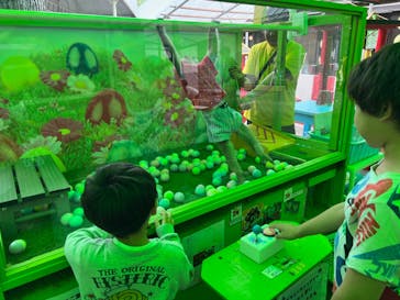 おさるランド＆アニタウン　日光さる軍団劇場に投稿された画像（2024/5/1）