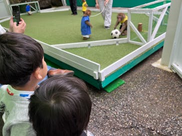 おさるランド＆アニタウン　日光さる軍団劇場に投稿された画像（2024/5/1）