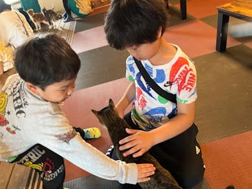 おさるランド＆アニタウン　日光さる軍団劇場に投稿された画像（2024/5/1）