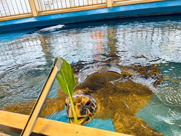 越前松島水族館に投稿された画像（2024/5/1）