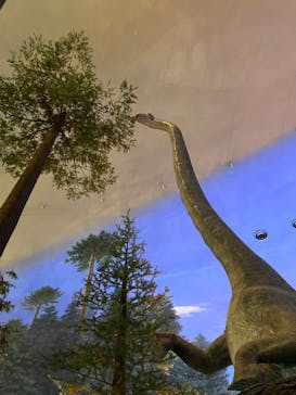 福井県立恐竜博物館に投稿された画像（2024/5/1）