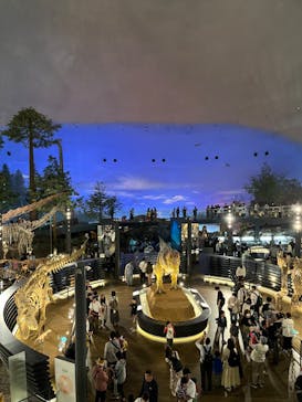 福井県立恐竜博物館に投稿された画像（2024/5/1）