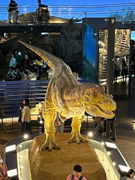 福井県立恐竜博物館に投稿された画像（2024/5/1）