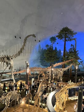 福井県立恐竜博物館に投稿された画像（2024/5/1）
