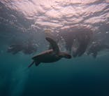  マリンショップHAPPYに投稿された画像（2024/5/2）