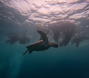  マリンショップHAPPYに投稿された画像（2024/5/2）