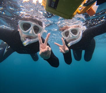  マリンショップHAPPYに投稿された画像（2024/5/2）