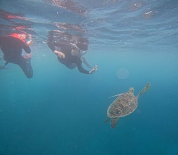  マリンショップHAPPYに投稿された画像（2024/5/2）