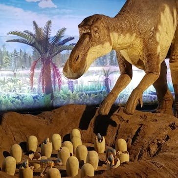 オダイバ恐竜博覧会2024 -福井から“ヤツラ”が新幹線でやってくる！-に投稿された画像（2024/5/2）