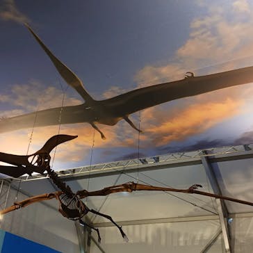 オダイバ恐竜博覧会2024 -福井から“ヤツラ”が新幹線でやってくる！-に投稿された画像（2024/5/2）