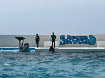 鴨川シーワールドに投稿された画像（2024/5/2）