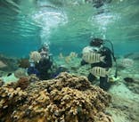 沖縄マリンサービス碧に投稿された画像（2024/5/2）