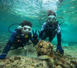 沖縄マリンサービス碧に投稿された画像（2024/5/2）