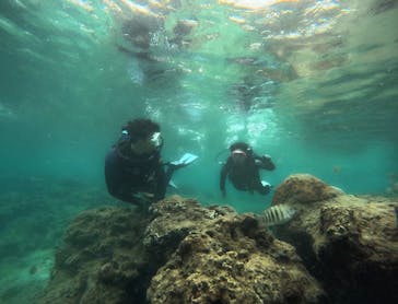 武藤潜水に投稿された画像（2024/5/2）