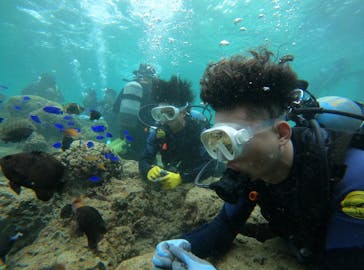 武藤潜水に投稿された画像（2024/5/2）