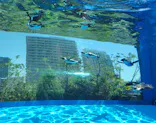 サンシャイン水族館に投稿された画像（2024/5/2）