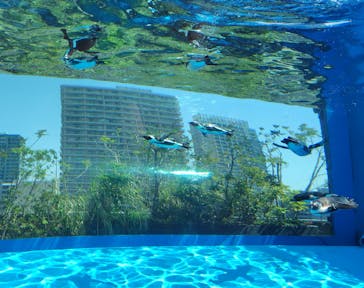 サンシャイン水族館に投稿された画像（2024/5/2）