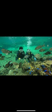 武藤潜水に投稿された画像（2024/5/2）