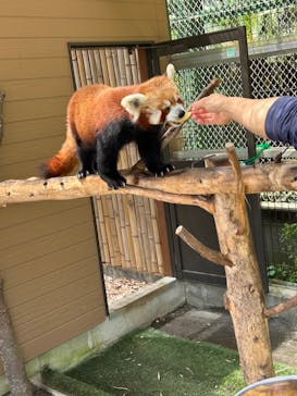 熱川バナナワニ園に投稿された画像（2024/5/2）