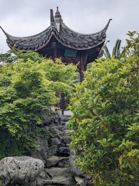 浜名湖花博2024に投稿された画像（2024/5/2）