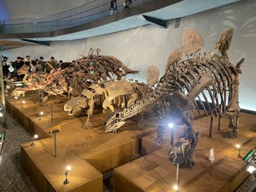 福井県立恐竜博物館に投稿された画像（2024/5/2）