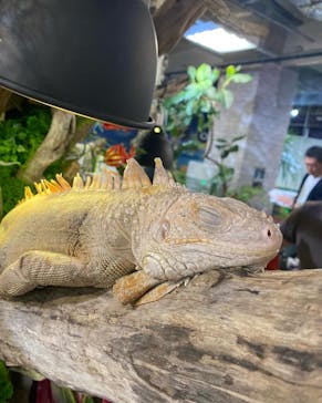 NARA IKIMONO MUSEUMに投稿された画像（2024/5/2）